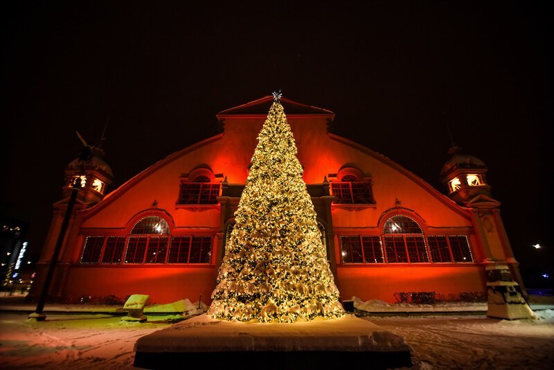lit up Christmas Tree at TD Place