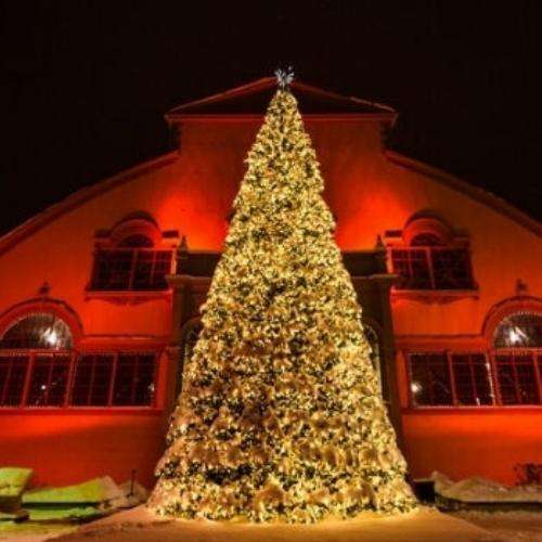 christmas tree at lansdowne