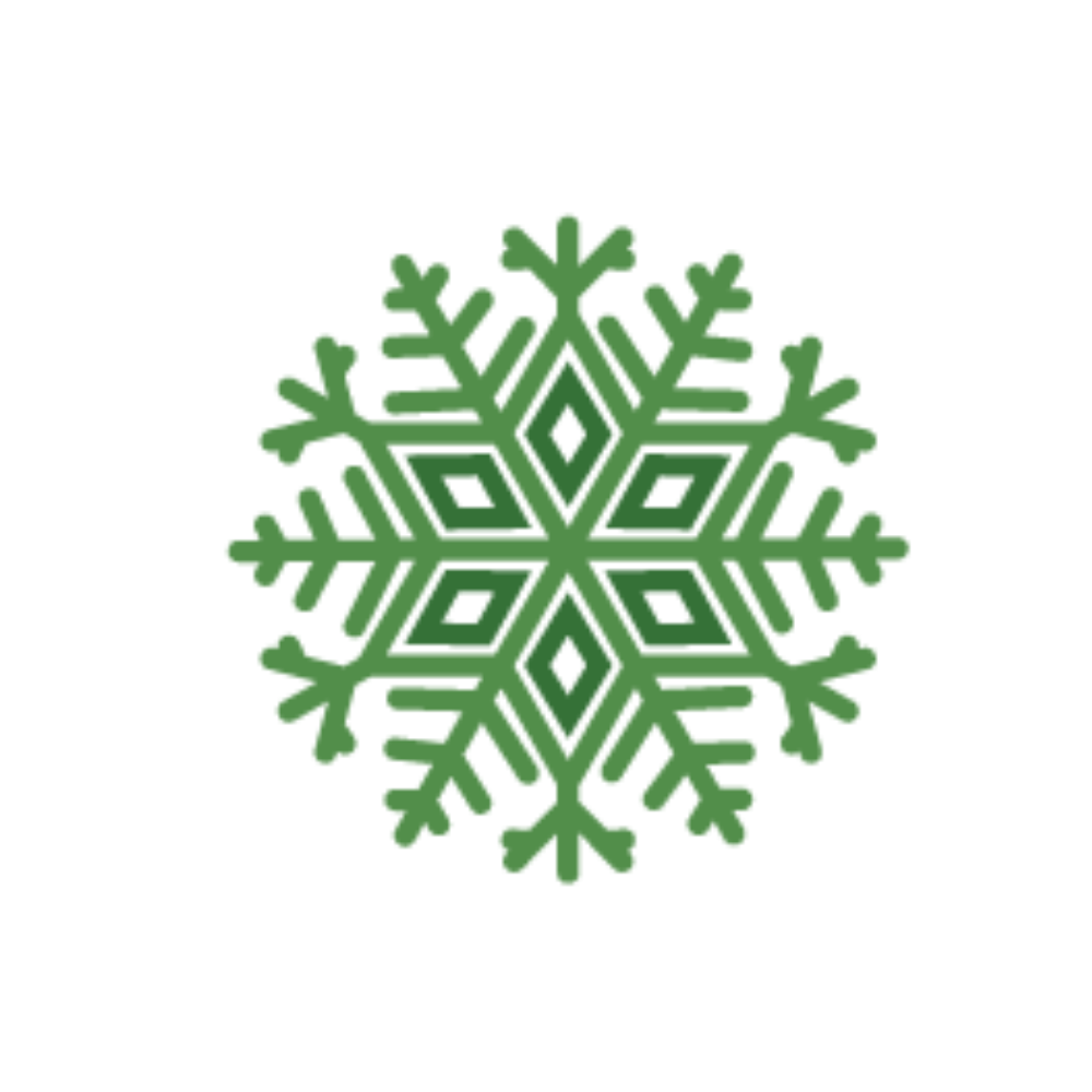 snow flake icon